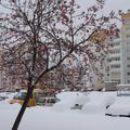 Снежинск зимой